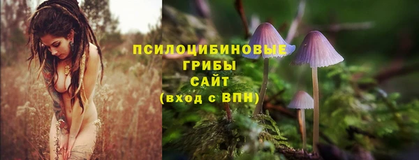 МДПВ Коряжма