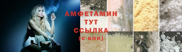 прущие грибы Костерёво