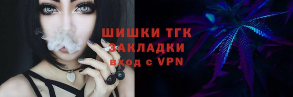 прущие грибы Костерёво