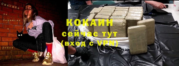 прущие грибы Костерёво