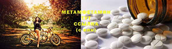 прущие грибы Костерёво