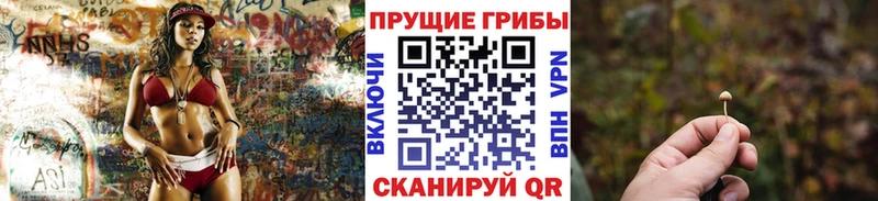 Псилоцибиновые грибы GOLDEN TEACHER  omg ТОР  Кинешма  где найти наркотики 